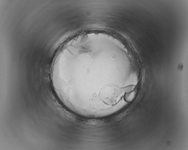 X0000113981314200911131046