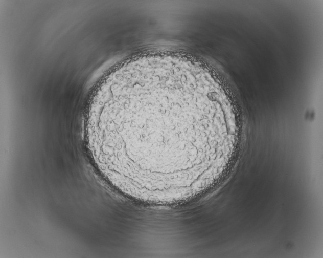 X0000113981317200911131046