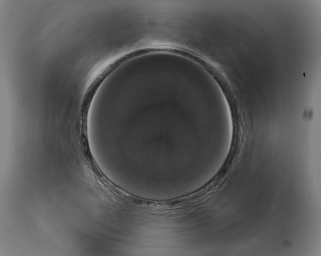 X0000113981319200911131046