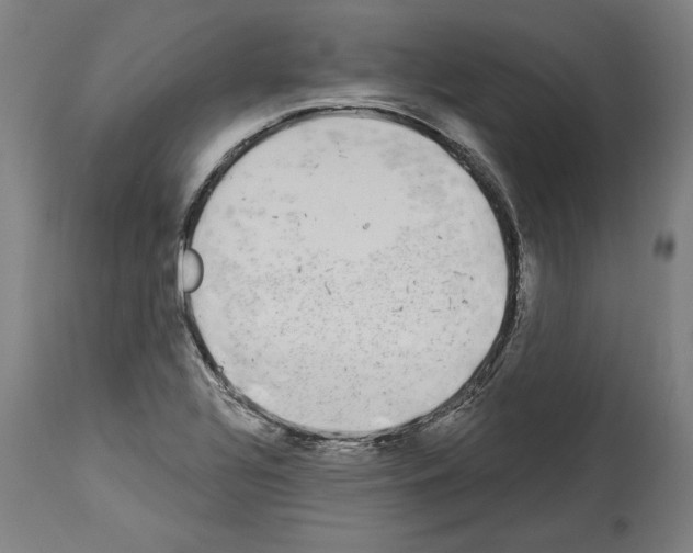 X0000113981320200911131046