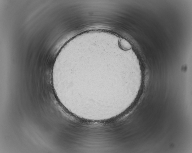 X0000113981321200911131046