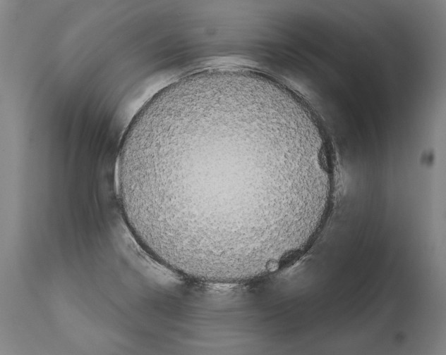 X0000113981322200911131046