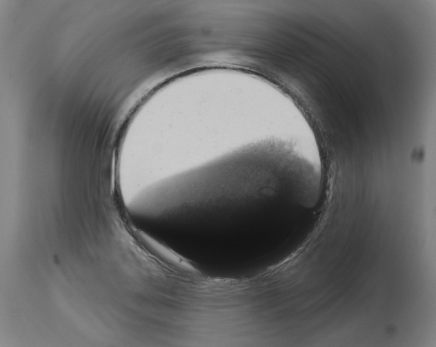 X0000113981323200911131046