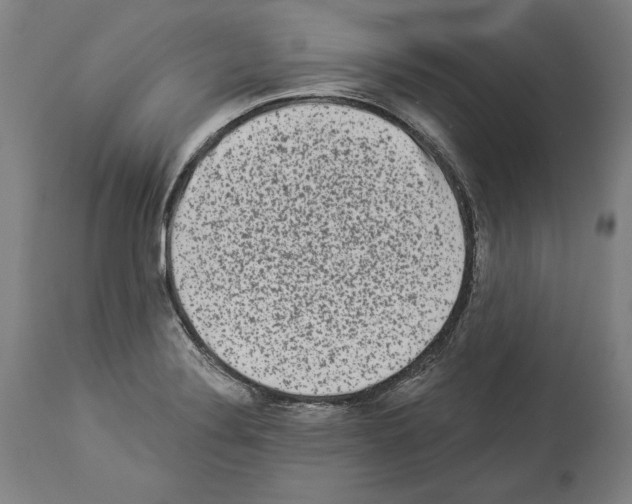 X0000113981324200911131046