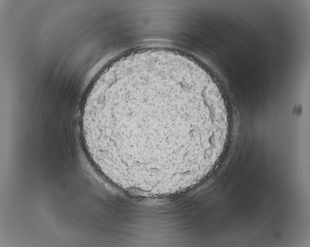 X0000113981325200911131046