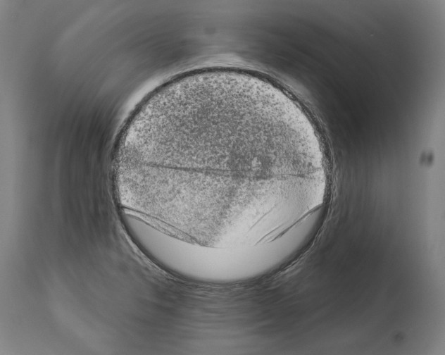 X0000113981326200911131046