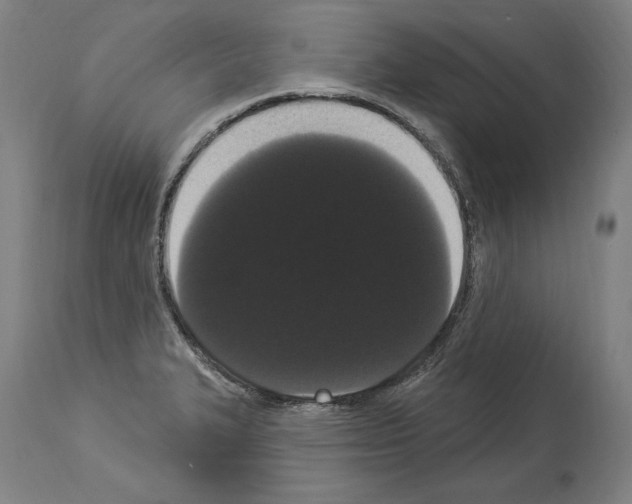 X0000113981327200911131046
