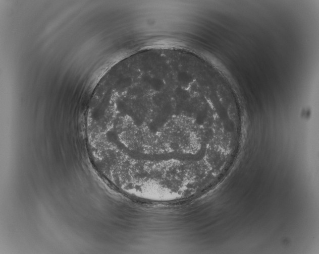 X0000113981329200911131046