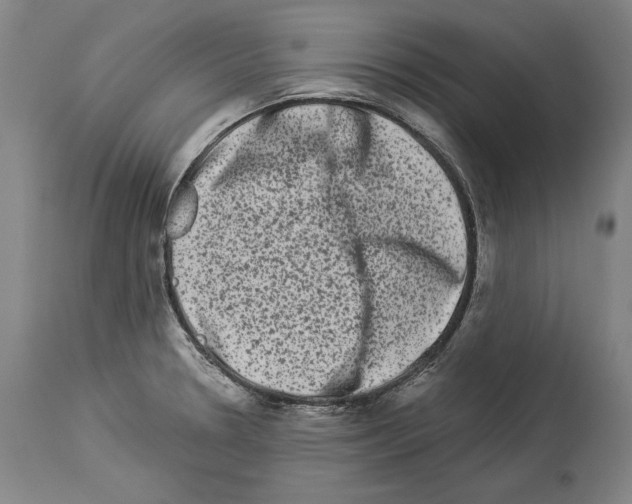 X0000113981330200911131046
