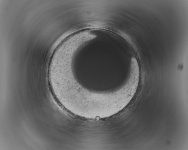 X0000113981331200911131046