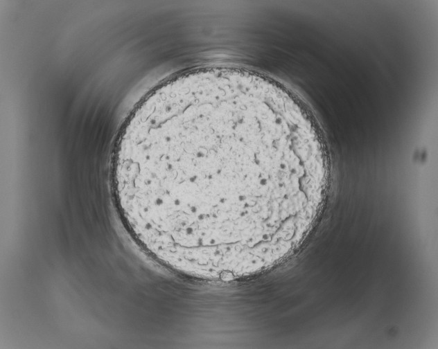 X0000113981333200911131046