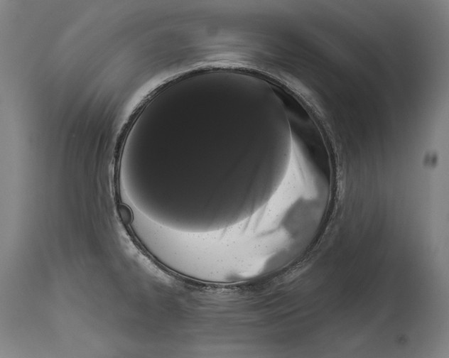 X0000113981334200911131046