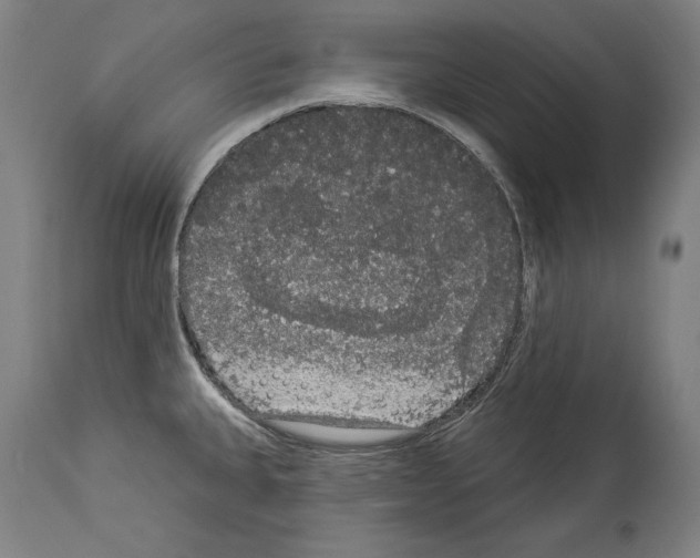 X0000113981335200911131046