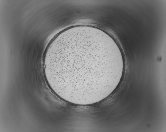 X0000113981336200911131046