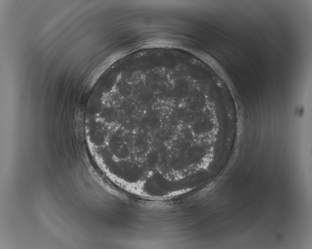 X0000113981337200911131046