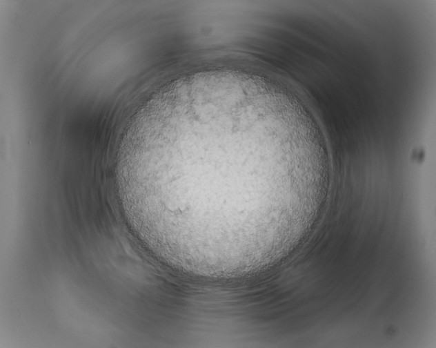 X0000113981338200911131046
