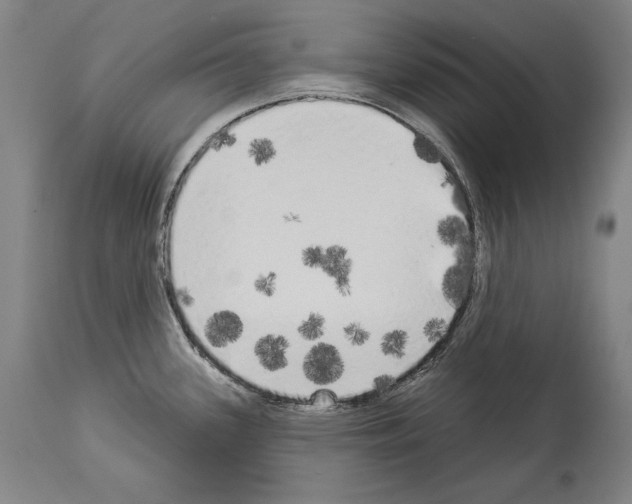 X0000113981339200911131046