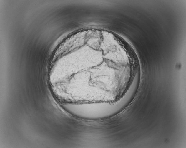 X0000113981341200911131046