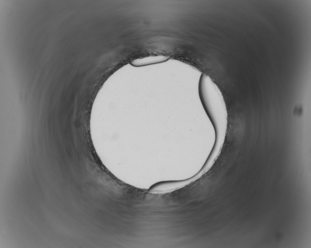 X0000113981345200911131046