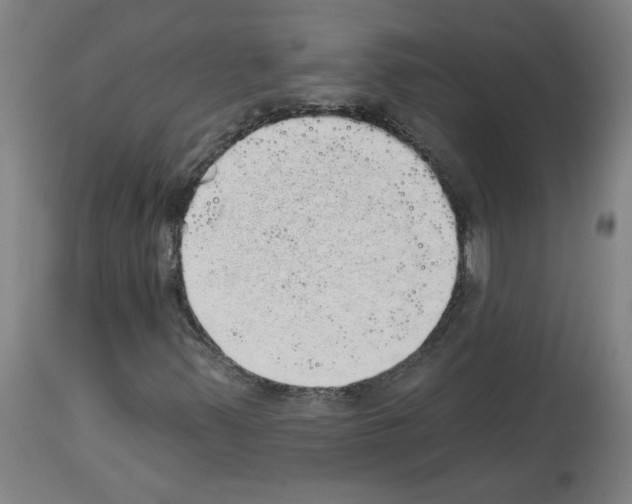 X0000113981347200911131046