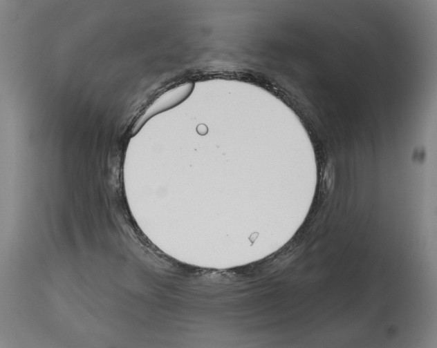 X0000113981348200911131046