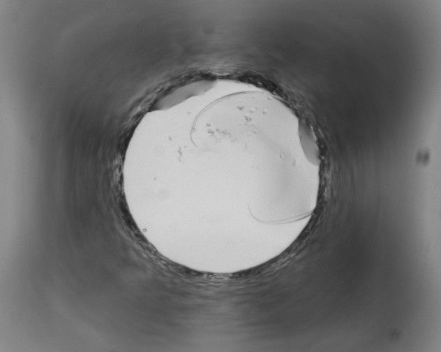 X0000113981349200911131046