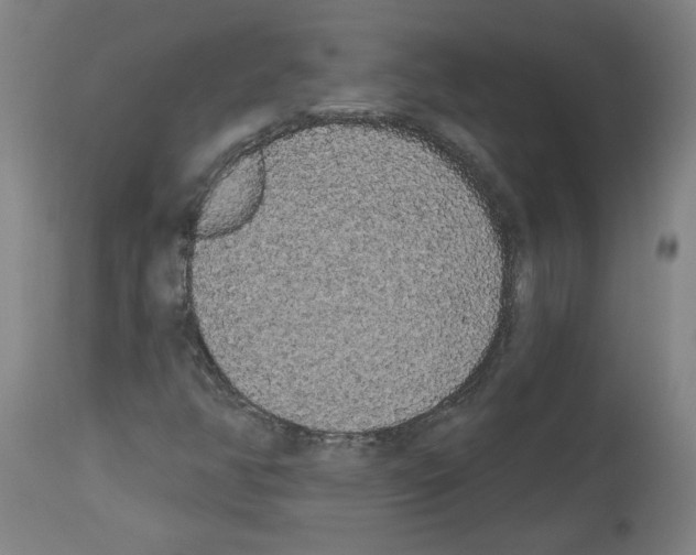 X0000113981350200911131046