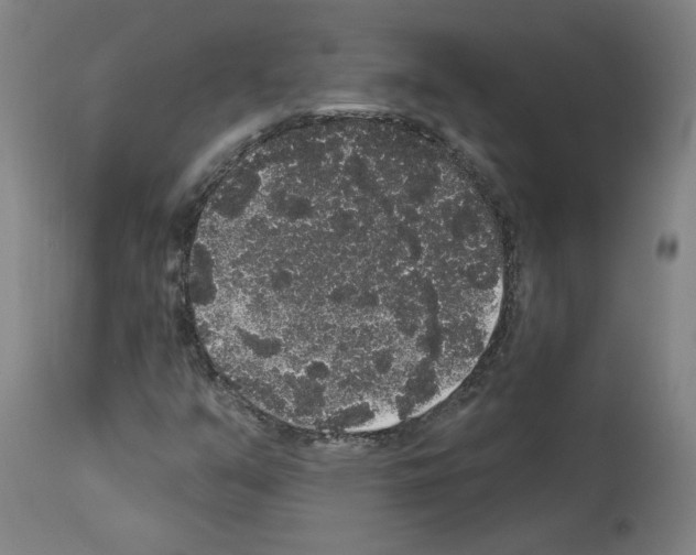 X0000113981351200911131046