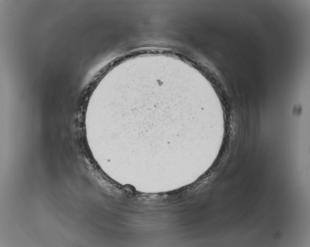 X0000113981352200911131046
