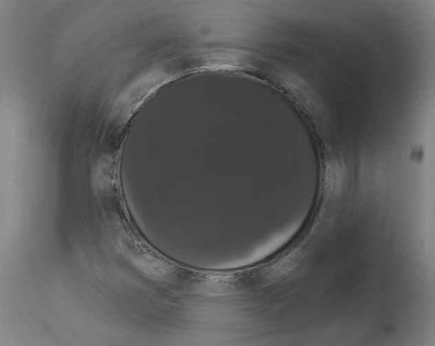 X0000113981353200911131046