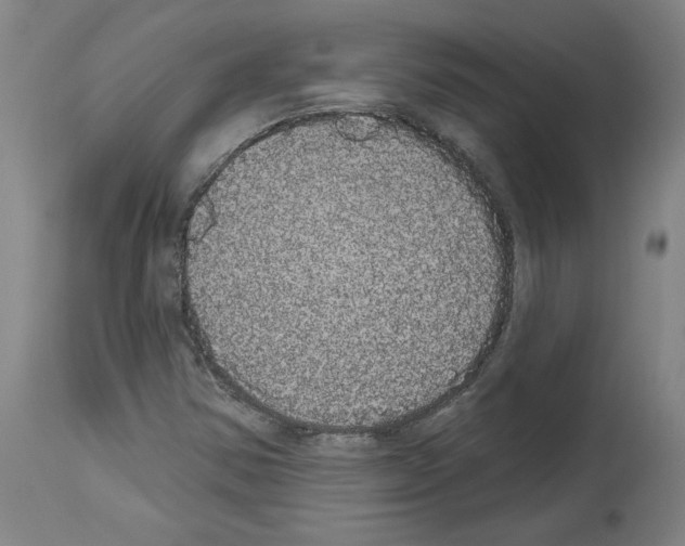 X0000113981354200911131046