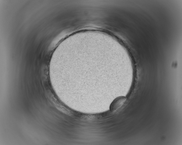 X0000113981355200911131046