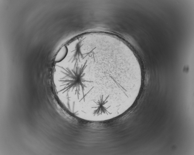 X0000113981356200911131045
