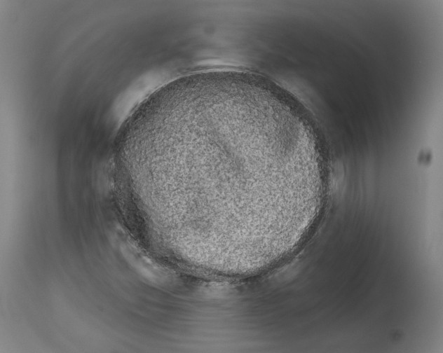 X0000113981357200911131045
