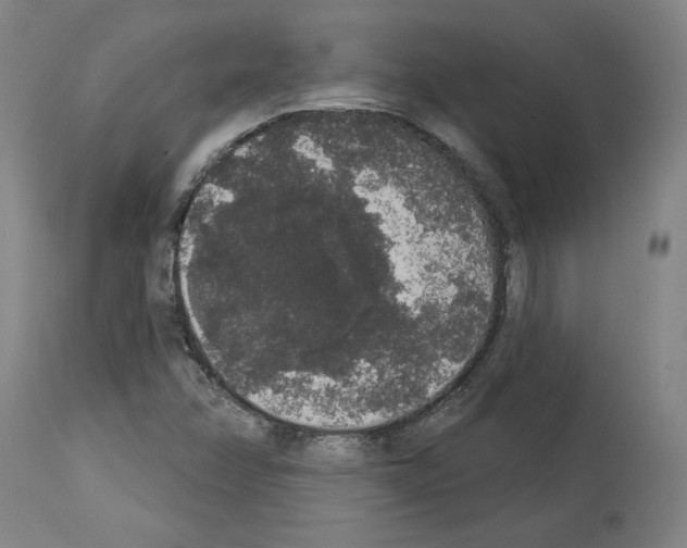 X0000113981358200911131045