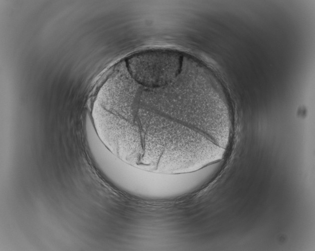 X0000113981361200911131045
