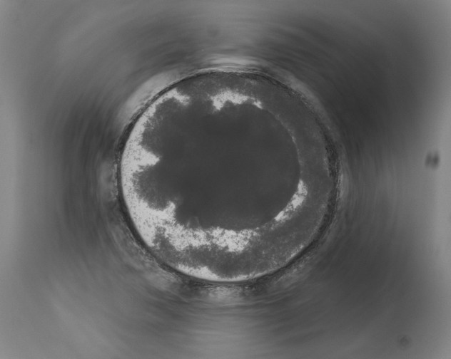 X0000113981362200911131045