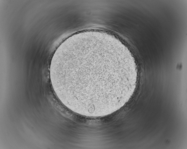X0000113981363200911131045