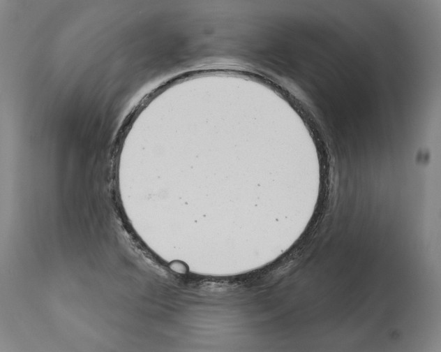 X0000113981364200911131045