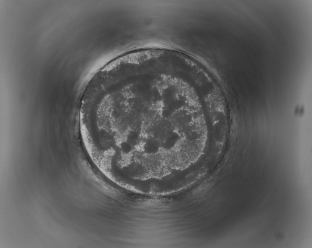 X0000113981367200911131045