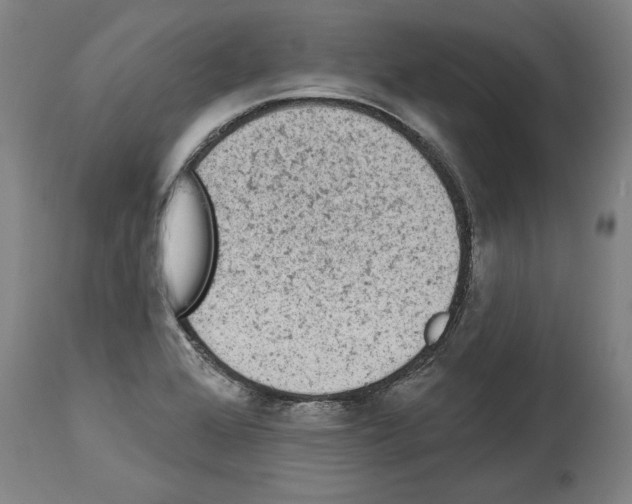 X0000113981368200911131045