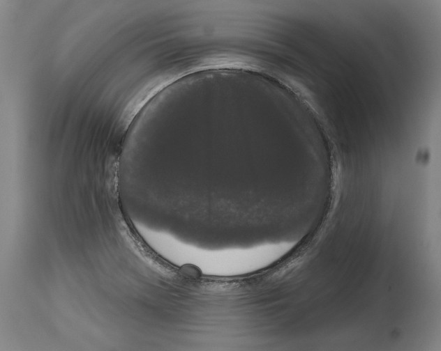 X0000113981369200911131045