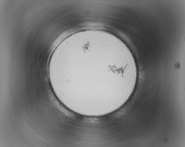 X0000113981370200911131045