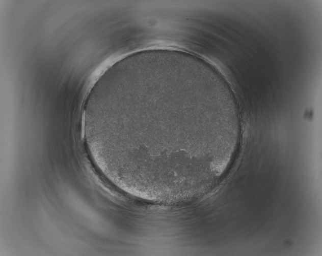 X0000113981371200911131045