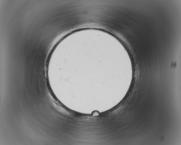 X0000113981372200911131045