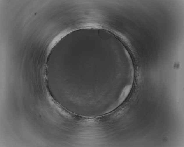 X0000113981373200911131045