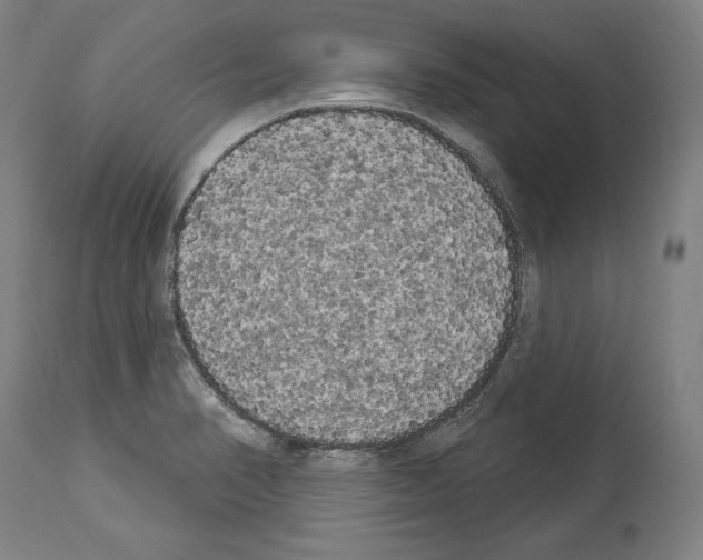 X0000113981374200911131045