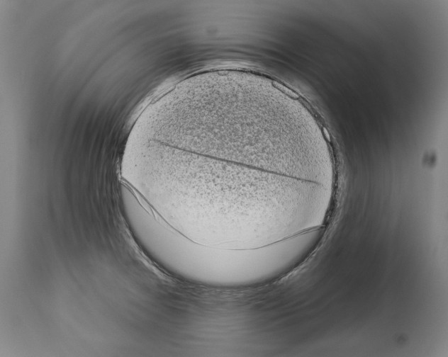 X0000113981377200911131045