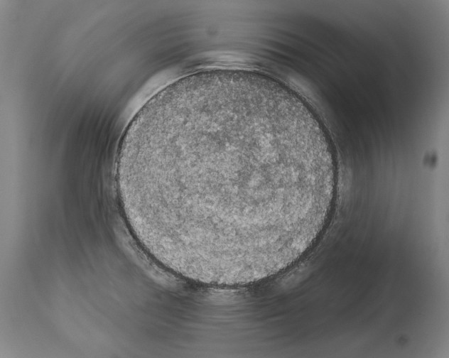X0000113981378200911131045