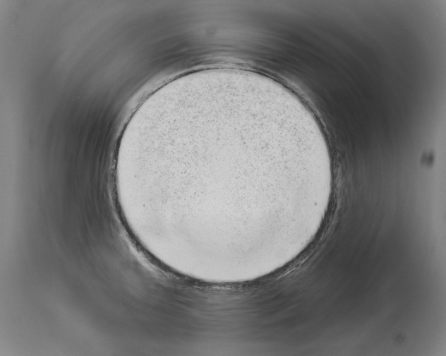 X0000113981379200911131045